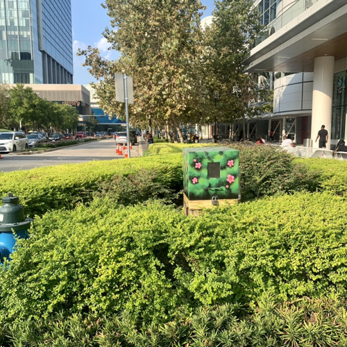 Your likes from Spotify - 6