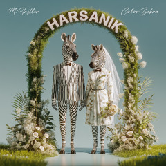 Harsanik (Extended Mix)
