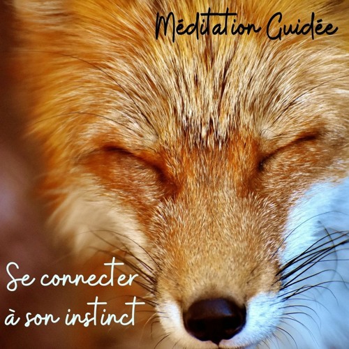 Méditation Relaxation - Ecouter son instinct