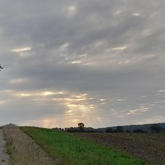 Kygo And Selena Gomez - It Ain't Me