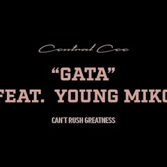 CENTRAL CEE - GATA FEAT. YOUNG MIKO