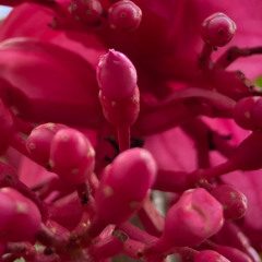 Sex Machine Of The Dead