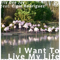 I Want to Live My Life (Original Mix) [feat. Elgin Rodríguez]