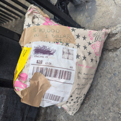 Trans Artists For My Queer Heart