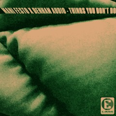 Mani Festo X Denham Audio - Things You Don't Do