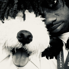 hound