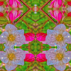 Peaceful Groove Abstraction- Movement 1