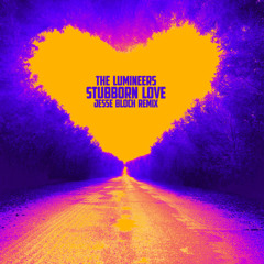 The Lumineers - Stubborn Love (Jesse Bloch Remix)
