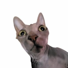 *It Merely Marches Forward* Cover