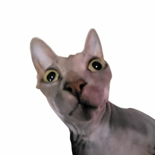 *It Merely Marches Forward* Cover