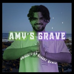 Aries - Amy's Grave (Unidentified Nugget Remix)