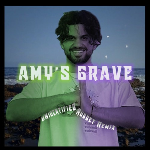Aries - Amy's Grave (Unidentified Nugget Remix)