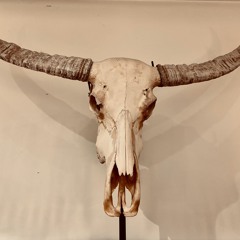 Deep Inside, Around & Everywhere, Vol. 19 (Chaman)