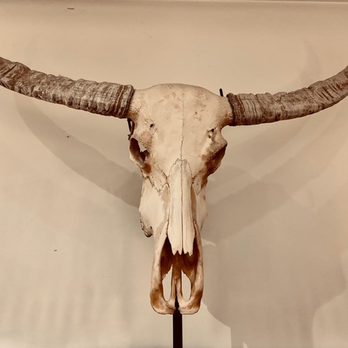 Deep Inside, Around & Everywhere, Vol. 19 (Chaman)