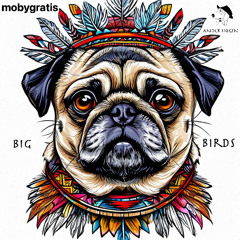 Big Birds provided by mobygratis version 2