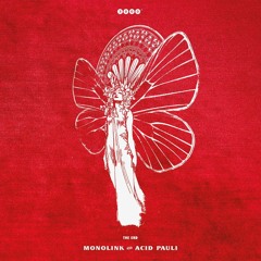 Monolink & Acid Pauli -  New Morning [Selected #049]