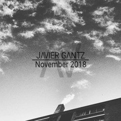 Javier Gantz | November 2018