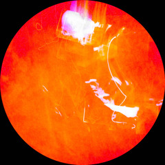 Palacide - Prominent