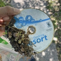 сборник переживаний