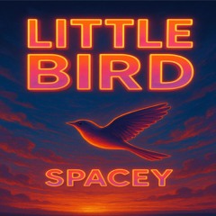 Little Bird (Tribal Mix)
