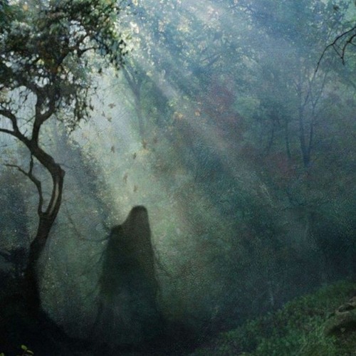 Ghosts In Garden