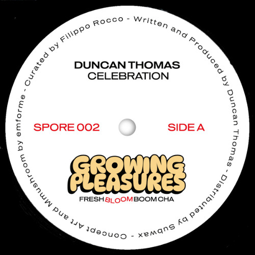 PREMIERE: Duncan Thomas - I Just Wanna Get Down