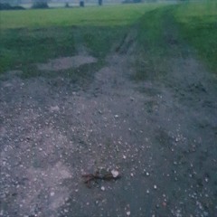 October Summer Holiday (Jazz Instrumental)