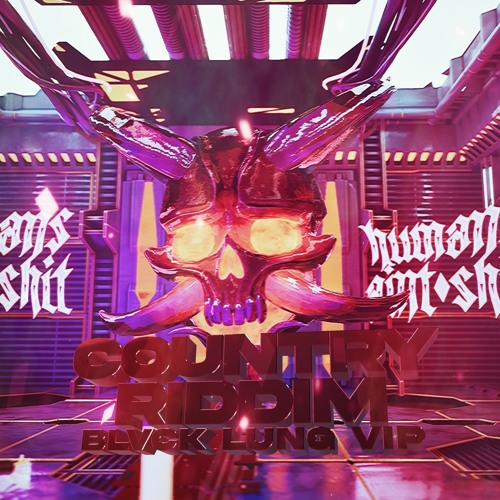 Stream HOL! - COUNTRY RIDDIM (BLVCK LUNG VIP) [FREE] by BLVCK LUNG ...