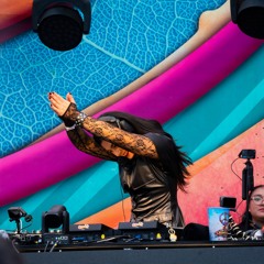 DREAMFIELDS 2024