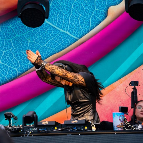 DREAMFIELDS 2024
