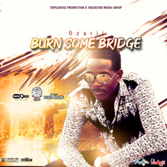 Burn Some Bridge