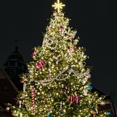 Magical Winter Music Playlist