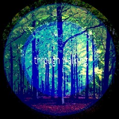 Through Walking