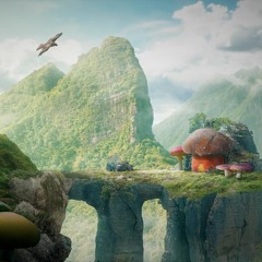 practice(kid animation)