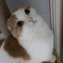 my