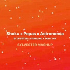 Shoku X Pepas X Astronomia (Sylvester Mashup)