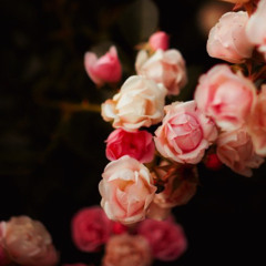 程墨寒 《我的心太乱》