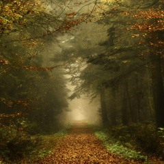 Good Morning (variation 2)