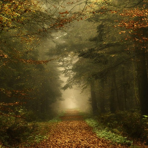 Good Morning (variation 2)