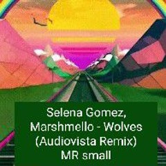 Selena Gomez, Marshmello - Wolves (Audiovista Remix) Mr small edit