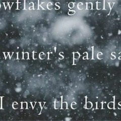 20210404 Snowflakes Naviar Haiku 378
