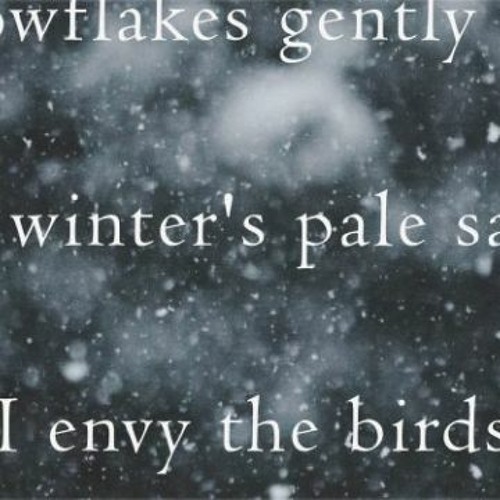 20210404 Snowflakes Naviar Haiku 378