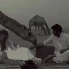يا حبيبي لا تعذبني كفايه