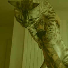 CENTRAL CEE x WHISTLE - Obsessed with you DRILL RMX