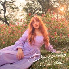 Sabrico, Amor e Fadas (feat. Ryam Beatz & Mbeattz)