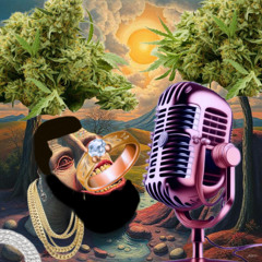 $plash mountain freestyle