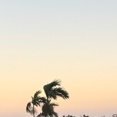 Markiee ATTITUDE prod tommet