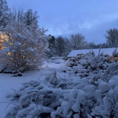 shy away (miercoles)