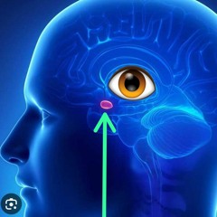 MyRomance & Zedd - Clarity