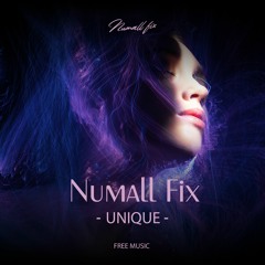 Numall Fix- Unique (Original Mix)